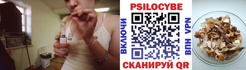 Галлюциногенные грибы Psilocybine cubensis  Спасск 